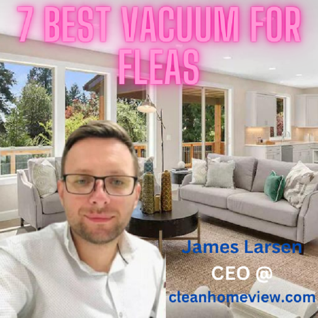Best vacuum for fleas