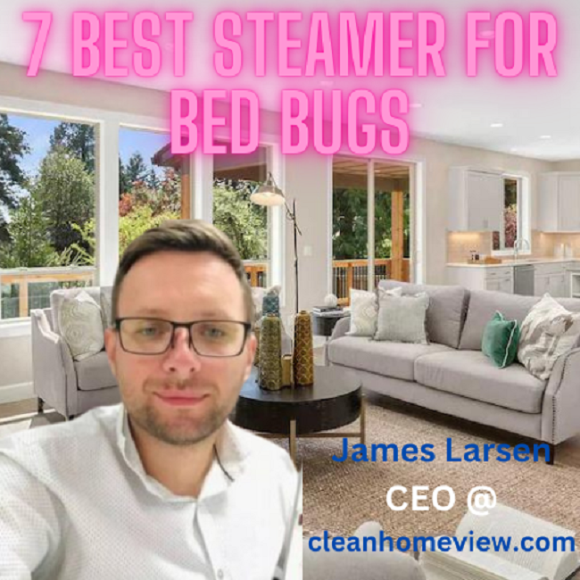 Best Steamer For Bed Bugs 2023 And Buyers Guide