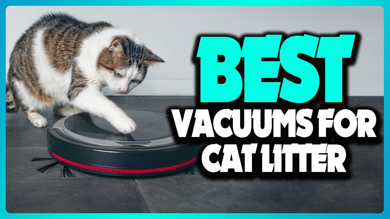 Best vaccum for cat litter 2023